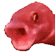 reddishpogfish