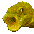 yellowpogfish