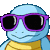 squirtle_jam